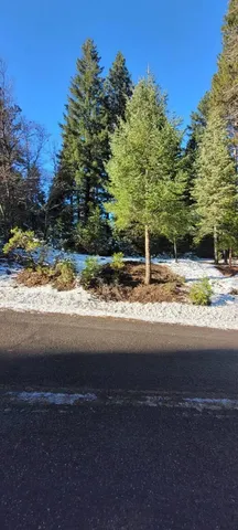 $105,000 | 0 Audubon Road, Mount Shasta, CA 96067