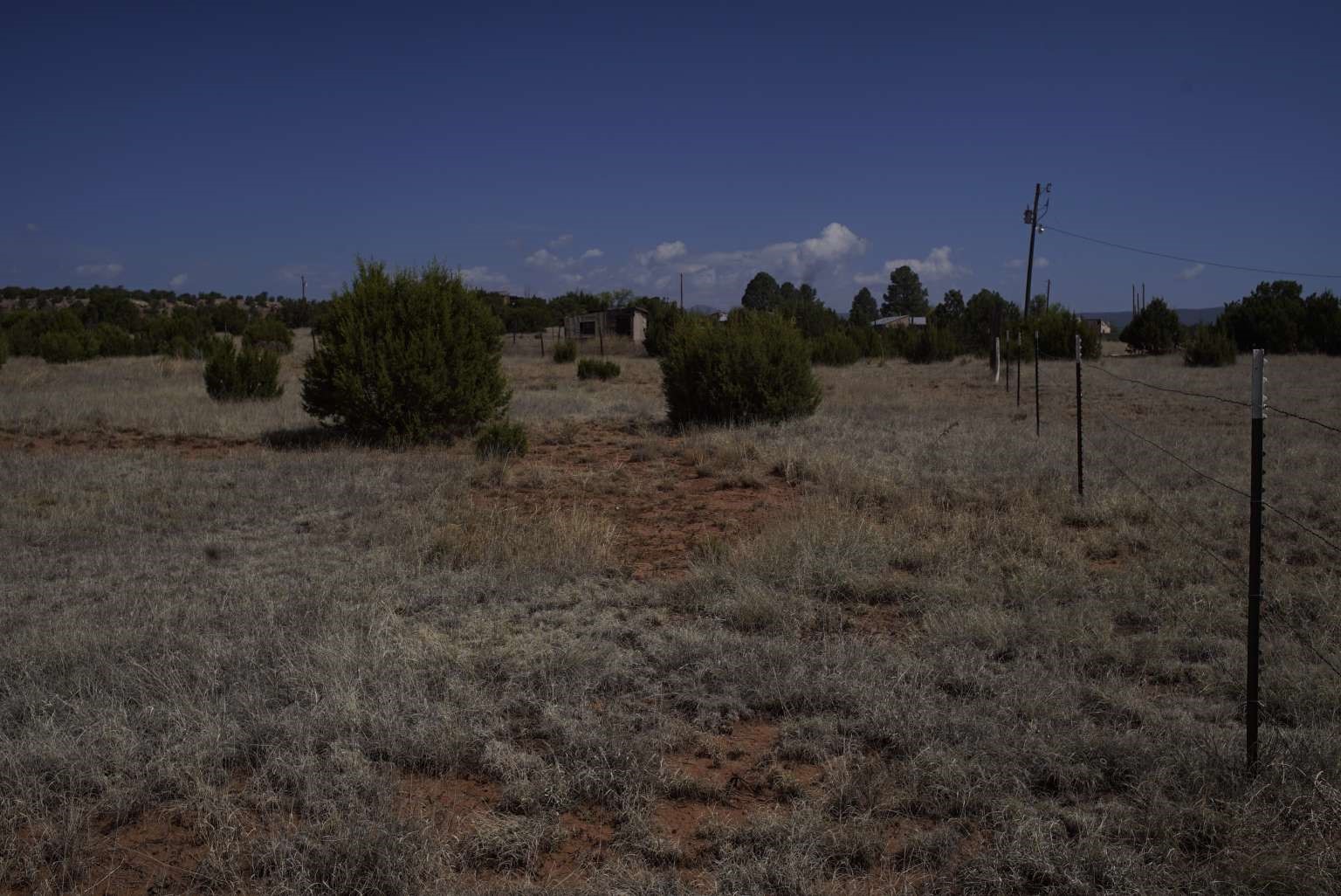 0 County Road Ribera, NM 87560 - Photo 17 of 20
