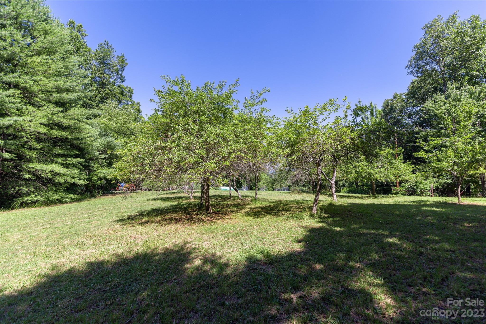 121 Stagecoach Lane Rutherfordton, NC 28139 - Photo 15 of 17 Gallery Image 15