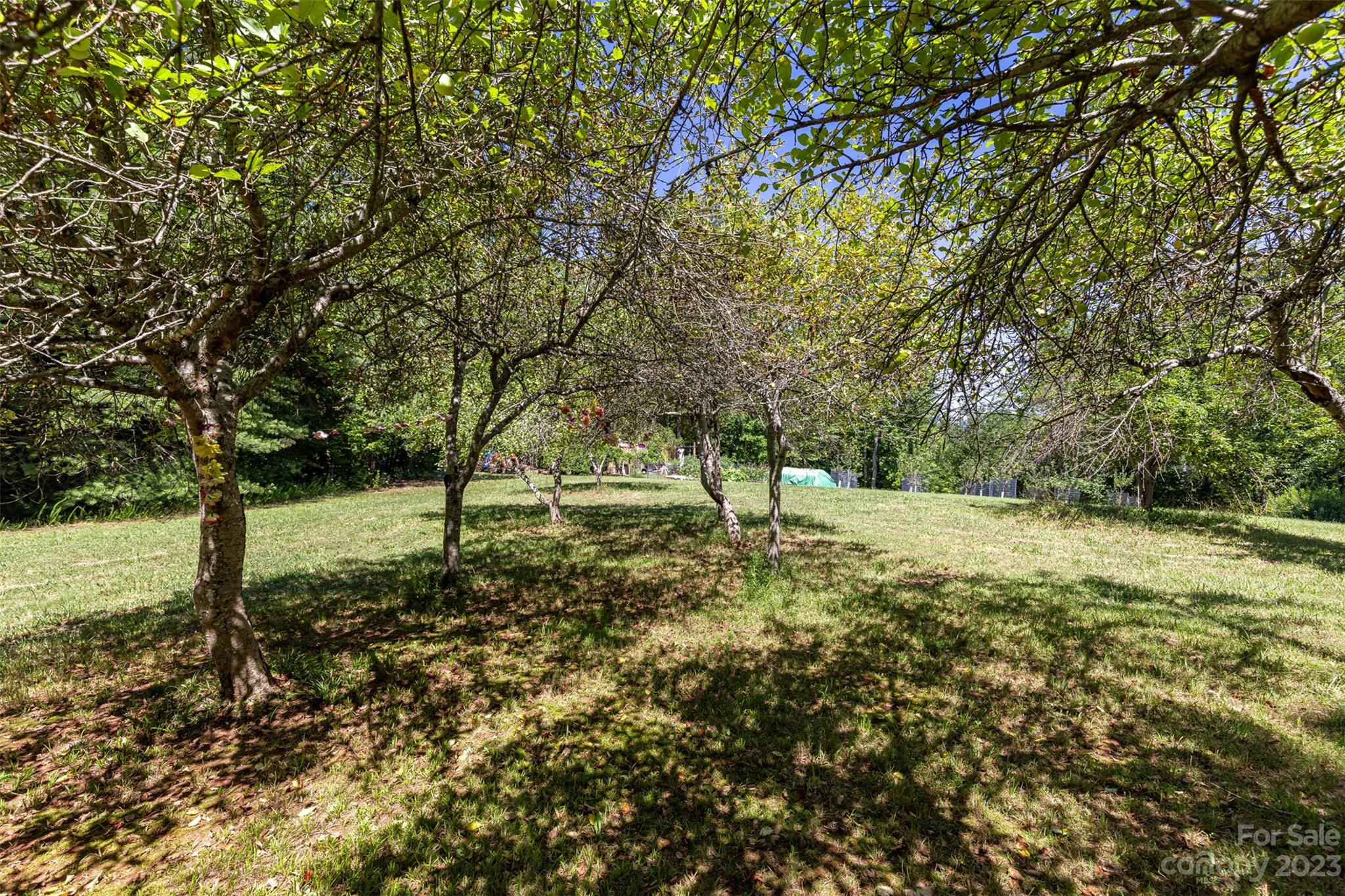 121 Stagecoach Lane Rutherfordton, NC 28139 - Photo 16 of 17 Gallery Image 16