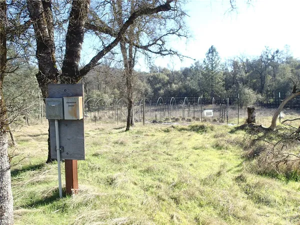 a view of a yard with table and chairs