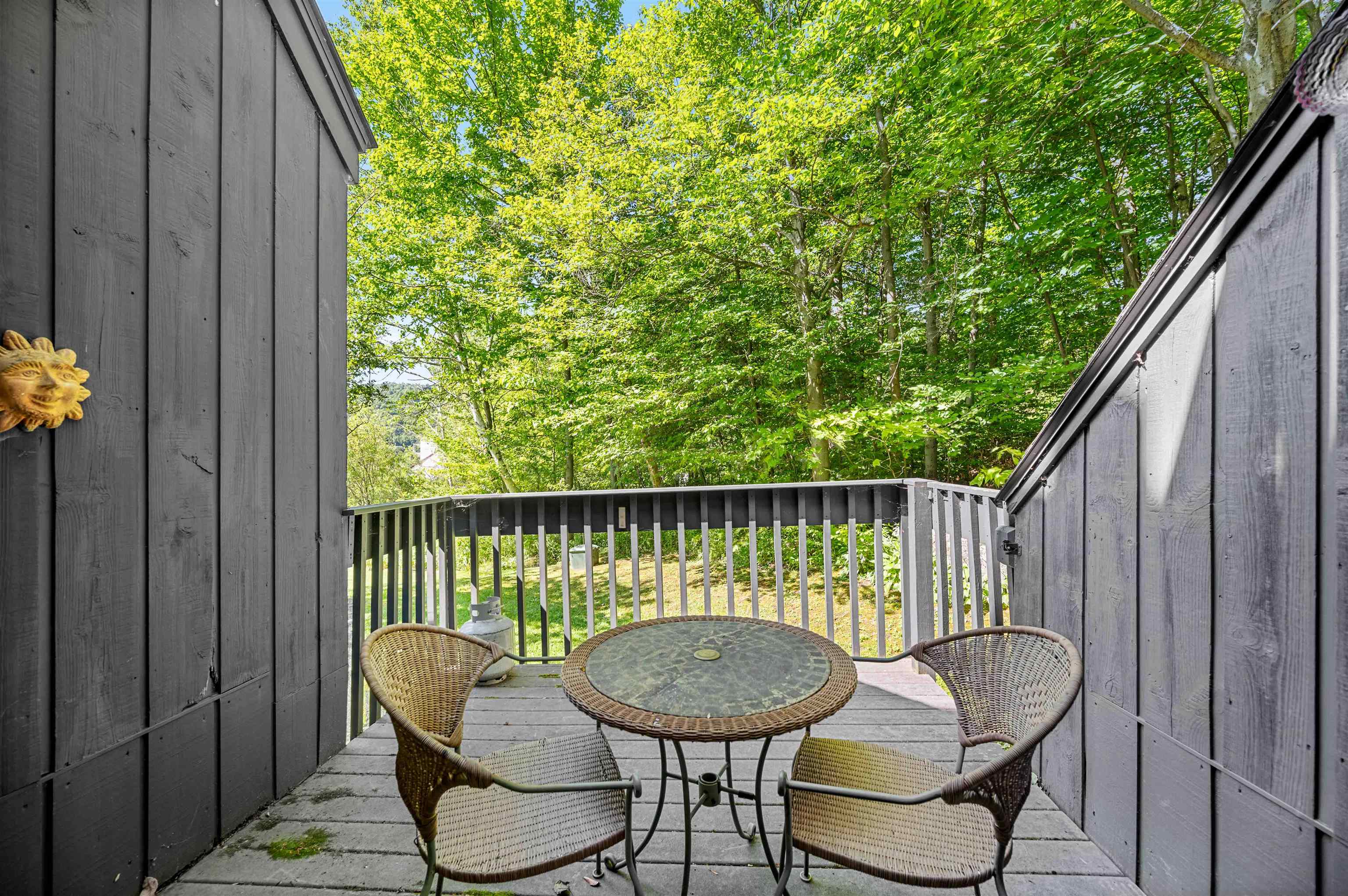 186 Castlerock Road, Unit 29 Warren, VT 05674 - Photo 16 of 46 Gallery Image 16