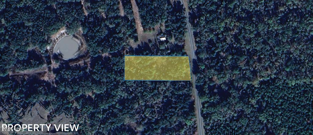 0 River Road Bascom, FL 32423 - Photo 6 of 11