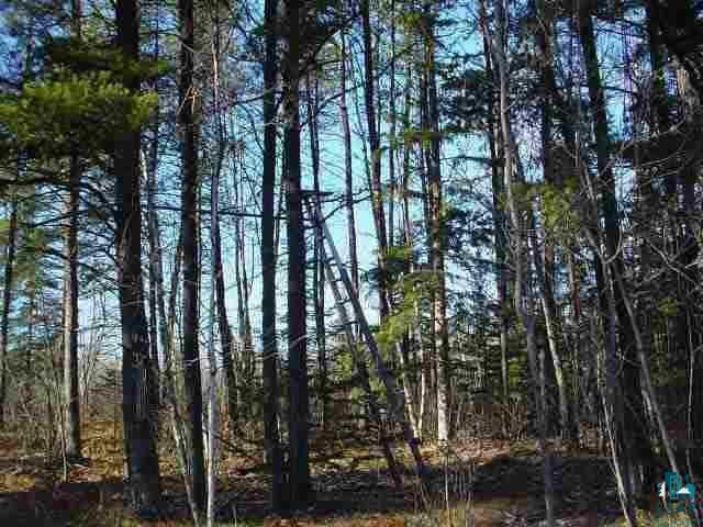 8897 Anton Road Angora, MN 55703 - Photo 7 of 9
