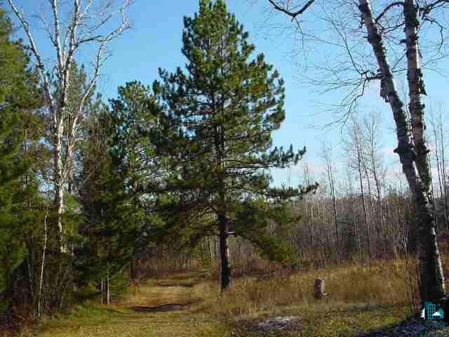 8897 Anton Road Angora, MN 55703 - Photo 8 of 9