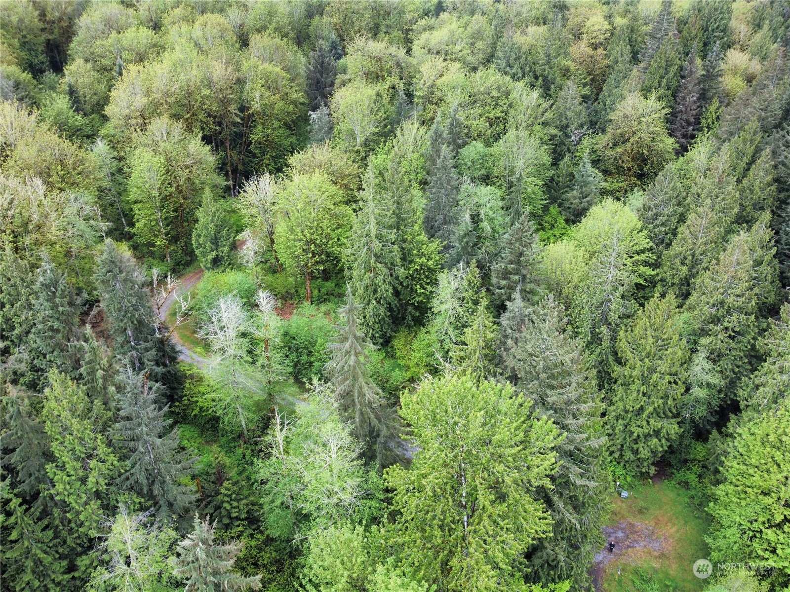 0 254th Maple Valley Renton, WA 98058 - Photo 1 of 3 an aerial view of residential house with outdoor space and trees all around