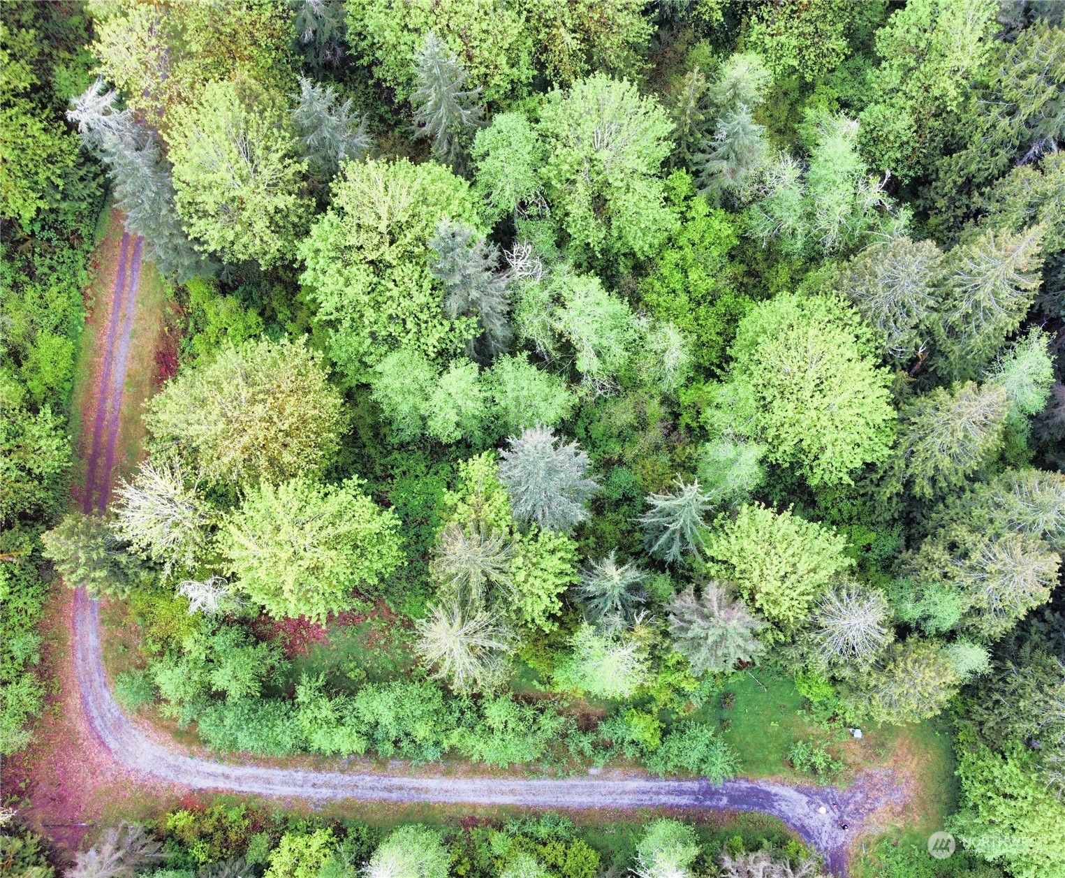 0 254th Maple Valley Renton, WA 98058 - Photo 3 of 3
