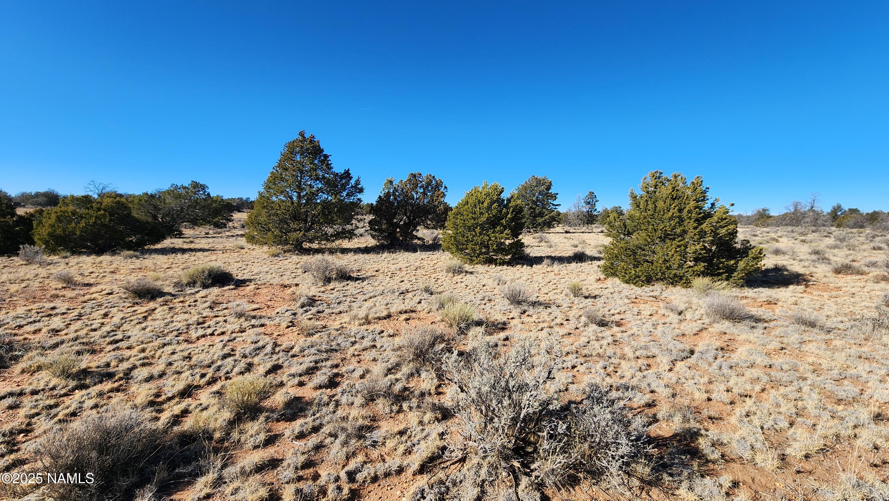 5373 Red Butte Road Williams, AZ 86046 - Photo 10 of 33 1000024075