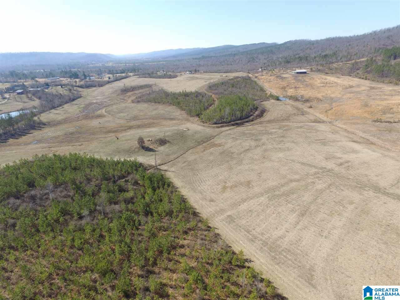 0 Armstrong Road, Unit 80 AC Ashville, AL 35953 - Photo 1 of 1