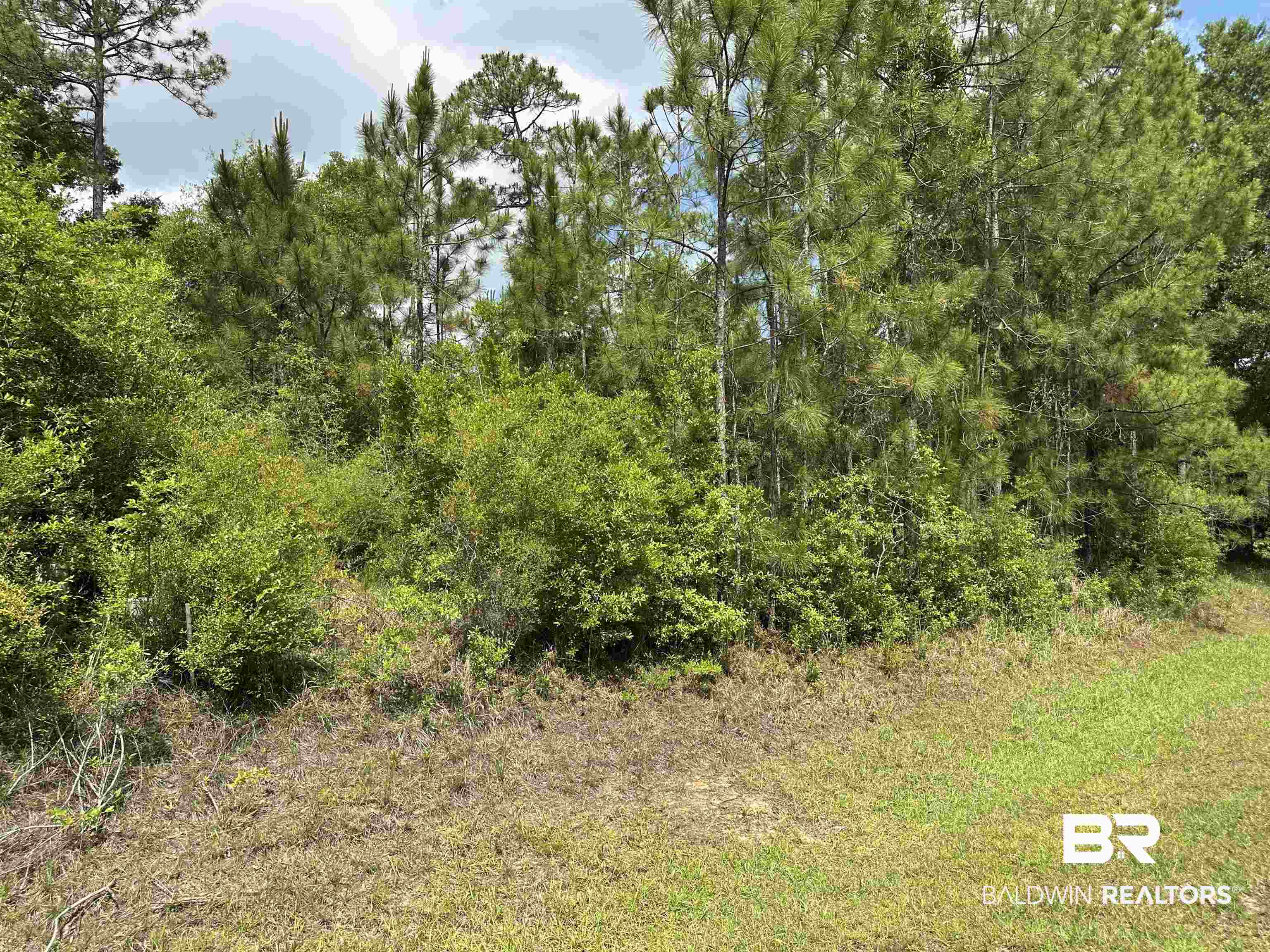 Pandion Drive Foley, AL 36535 - Photo 2 of 9 View of tree filled area