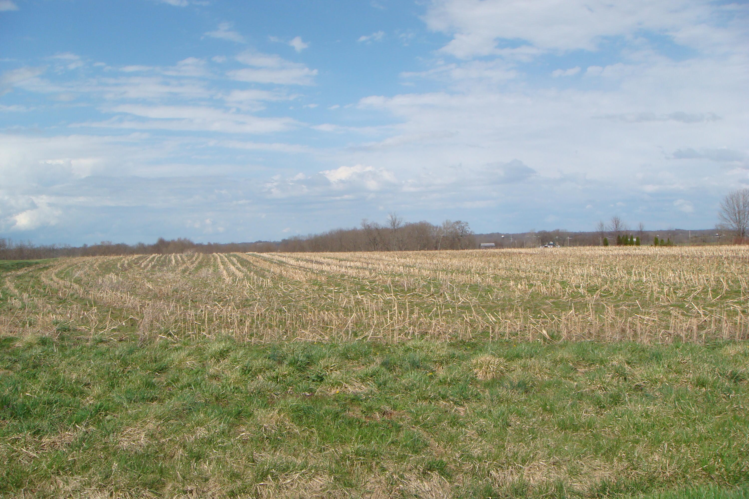 1 Peeled Oak Road Mount Sterling, KY 40353 - Photo 2 of 4 DSC07575