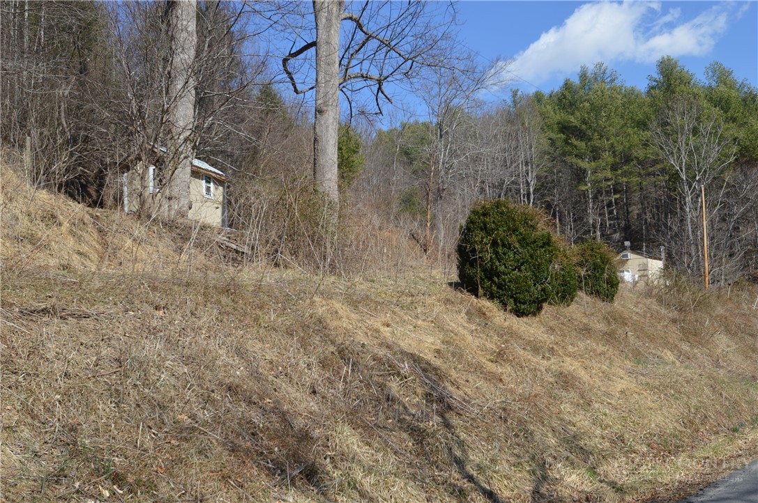 1617 Pot Rock Road Galax, VA 24333 - Photo 47 of 50 Gallery Image 47