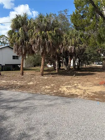 $75,000 | 0 Fishman Avenue, Weeki Wachee, FL 34607