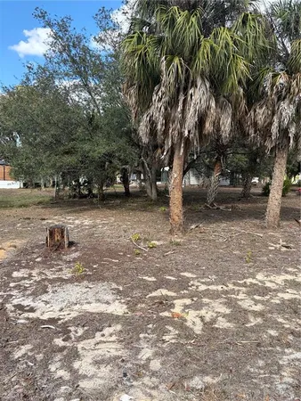a view of a yard with a tree