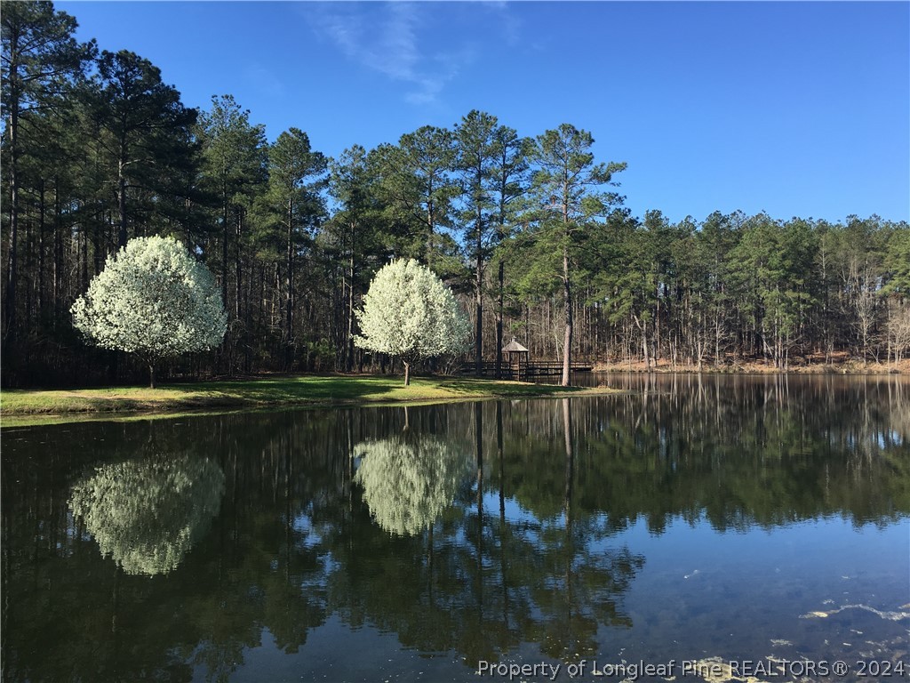 81 Barons Run East Spring Lake, NC 28390 - Photo 18 of 19 Gallery Image 18