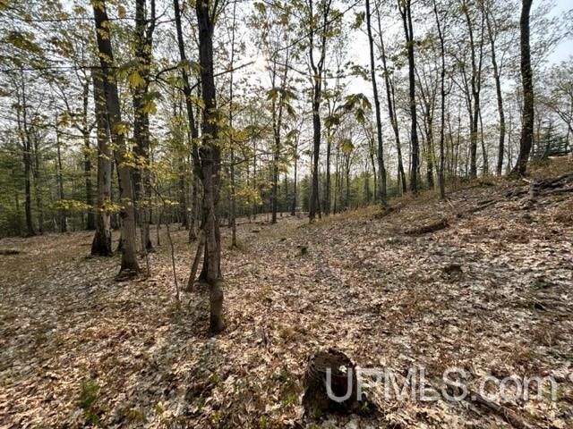 8 Old Co Road Negaunee, MI 49866 - Photo 8 of 14
