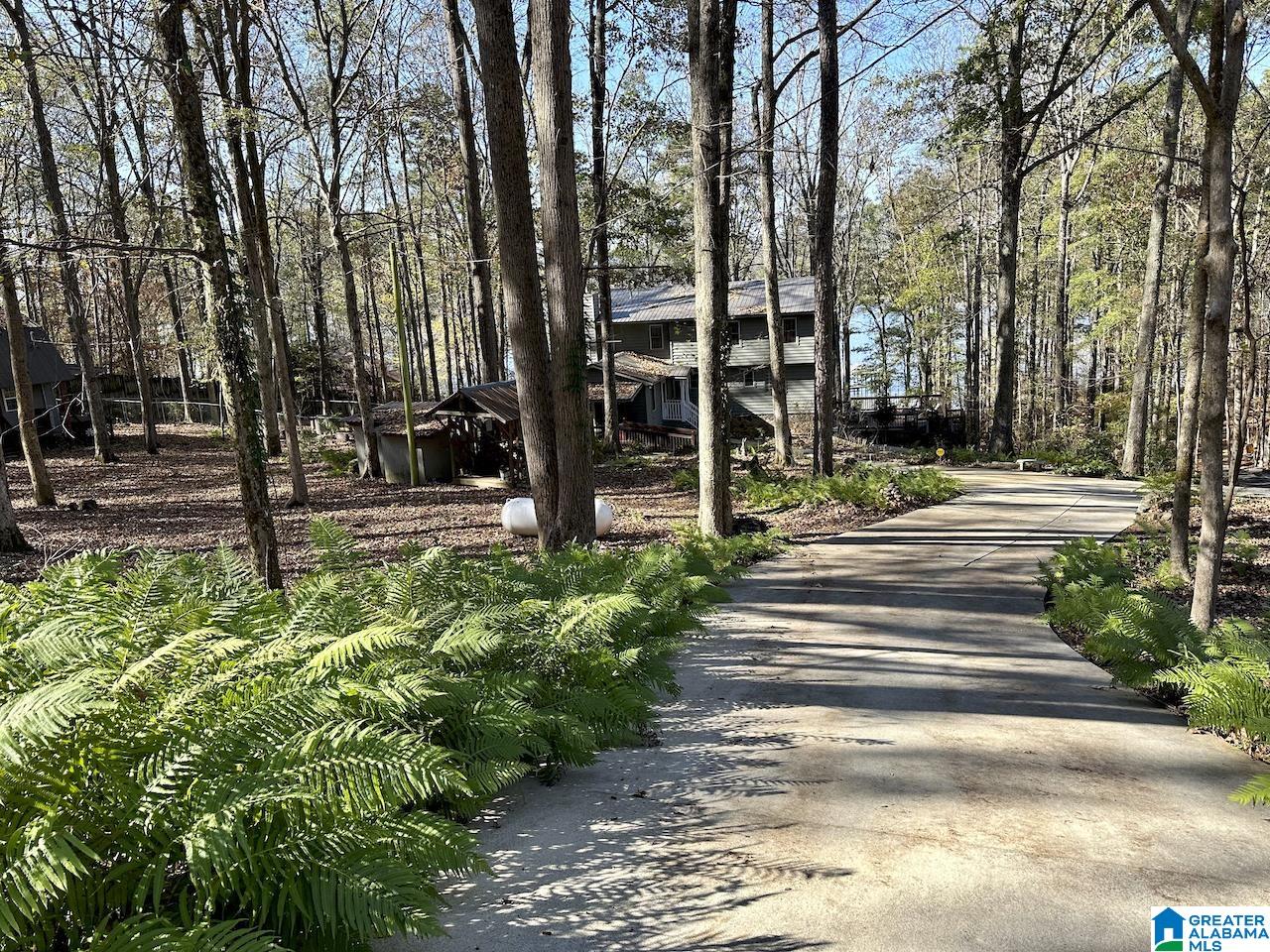 3371 County Road 104 Cedar Bluff, AL 35959 - Photo 3 of 100