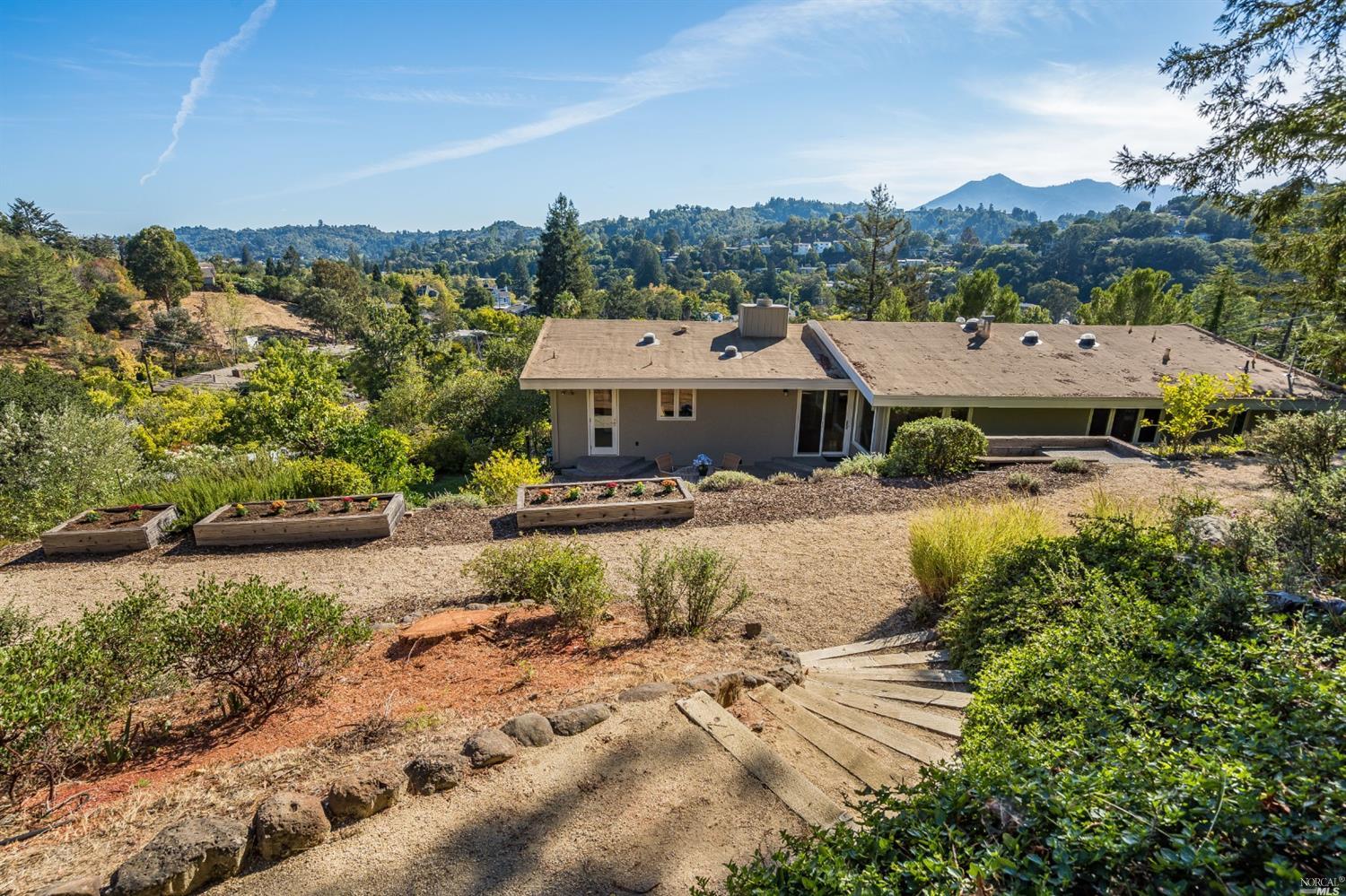 16 Chestnut Avenue San Rafael, CA 94901 - Photo 1 of 1 an aerial view of residential houses with outdoor space and trees
