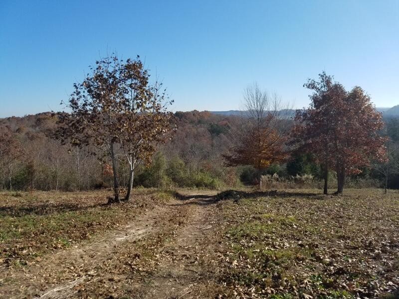 417 Womac Hollow Road Decatur, TN 37322 - Photo 27 of 28