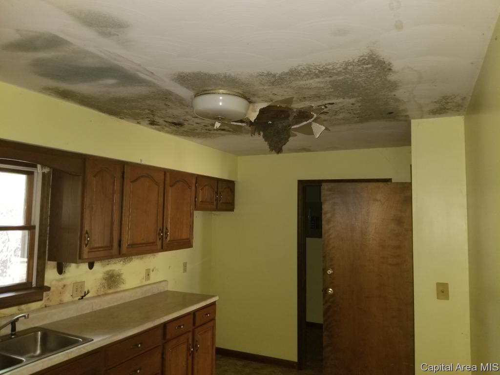 7987 North Pawnee Road Pawnee, IL 62558 - Photo 20 of 30