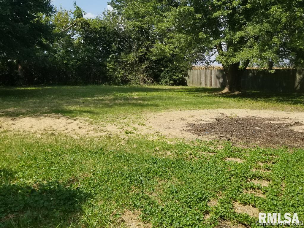 7987 North Pawnee Road Pawnee, IL 62558 - Photo 28 of 30