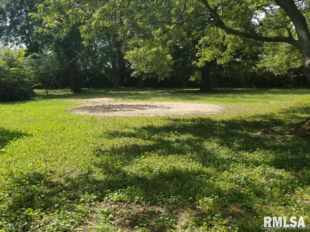 7987 North Pawnee Road Pawnee, IL 62558 - Photo 29 of 30