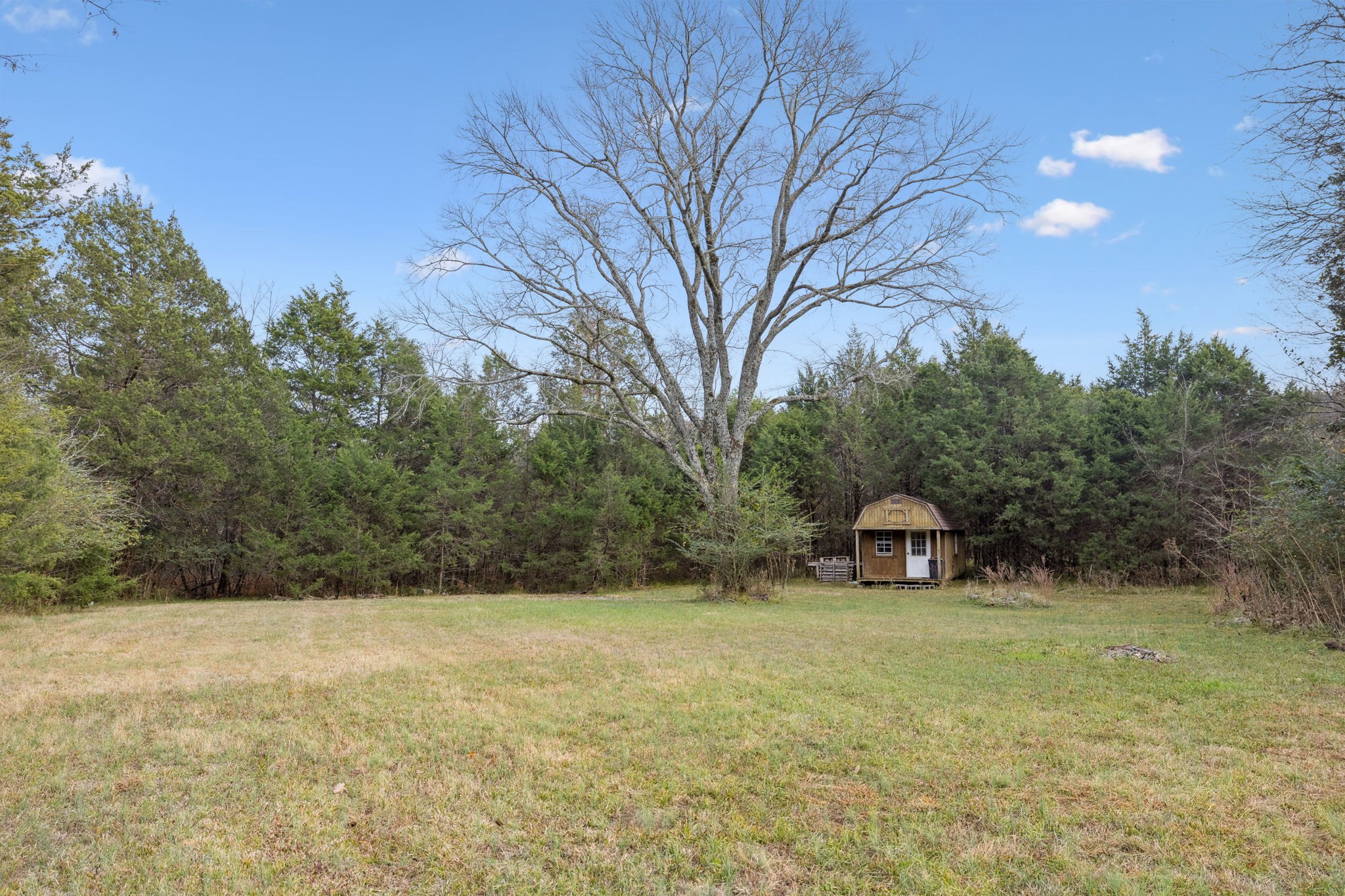 1522 Walnut Grove Road Christiana, TN 37037 - Photo 70 of 86