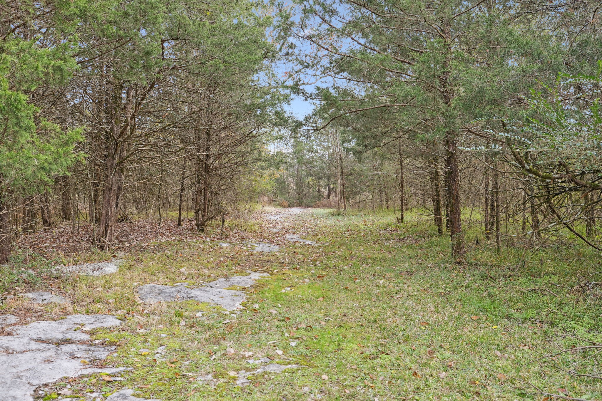 1522 Walnut Grove Road Christiana, TN 37037 - Photo 71 of 86