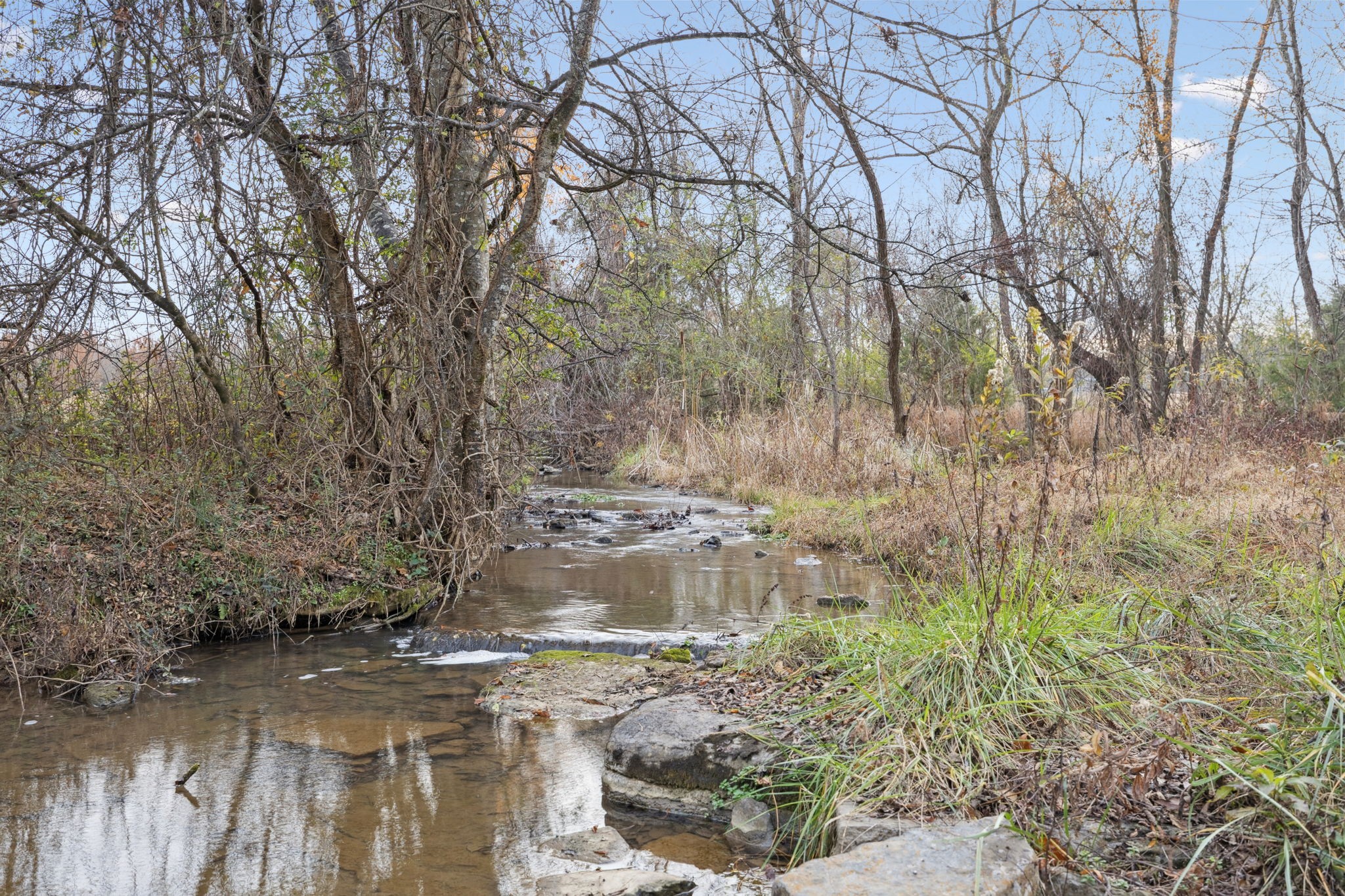 1522 Walnut Grove Road Christiana, TN 37037 - Photo 72 of 86