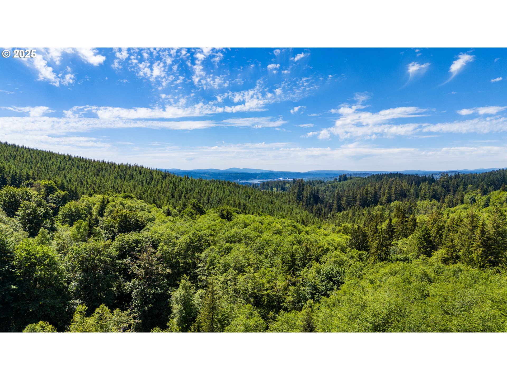 187 Tatonka Road Kelso, WA 98626 - Photo 46 of 46 Gallery Image 46
