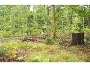 448 Hogg Hill Road Springfield, NH 03751 - Photo 6 of 8