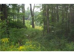 448 Hogg Hill Road Springfield, NH 03751 - Photo 7 of 8