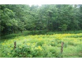 448 Hogg Hill Road Springfield, NH 03751 - Photo 8 of 8