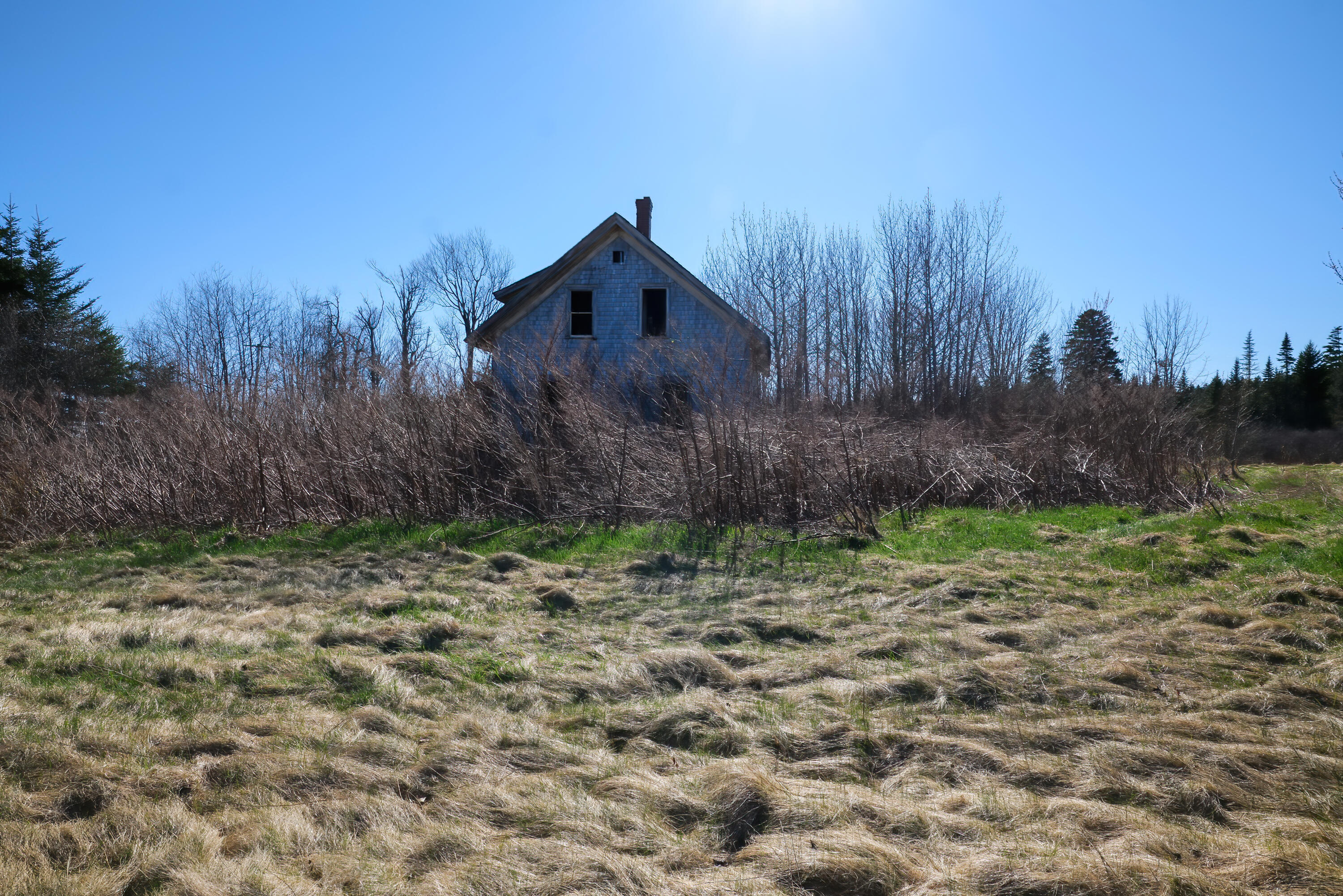 1082 Cutler Road Whiting, ME 04691 - Photo 32 of 36 40-1082 Cutler Road HiRes-DTP