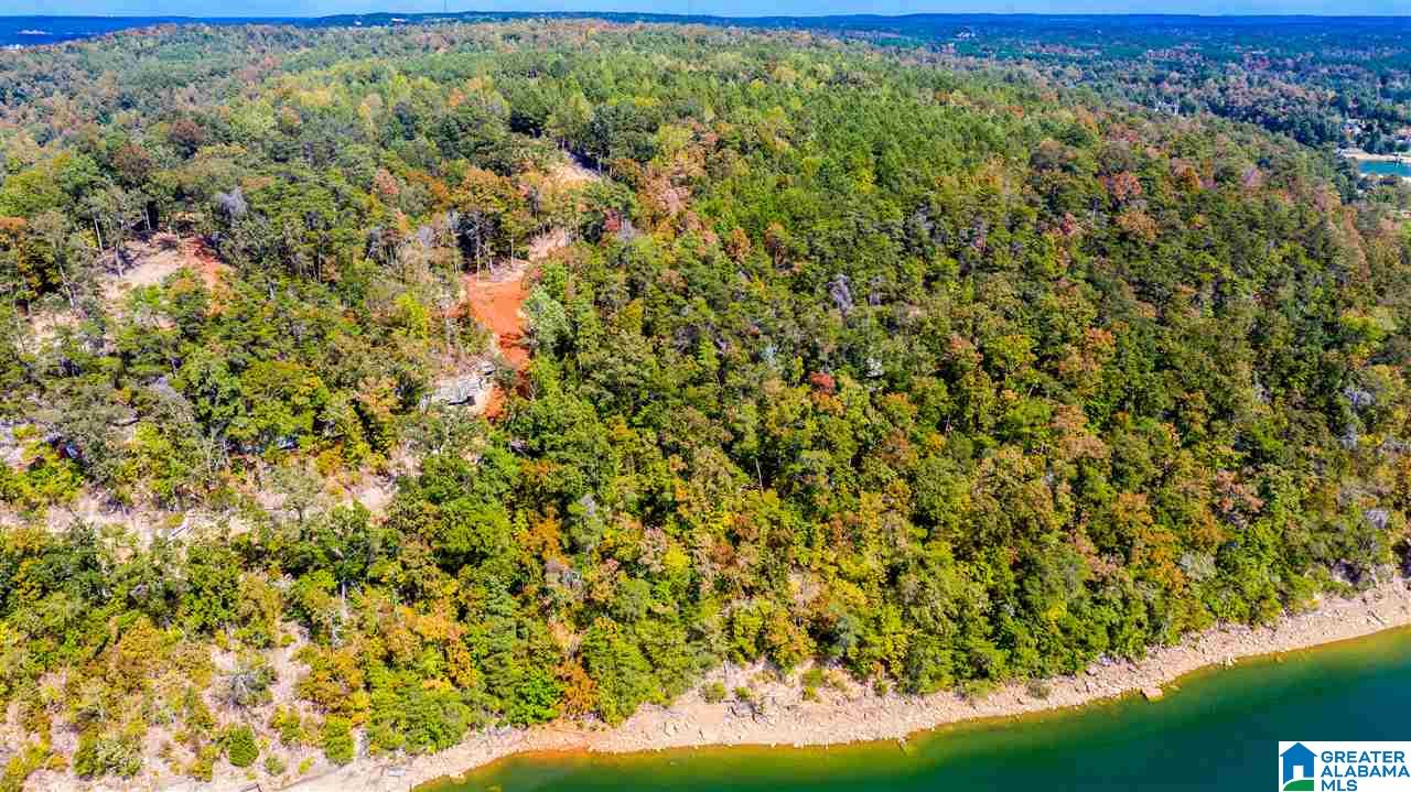 0 County Road 297 Cullman, AL 35057 - Photo 45 of 48