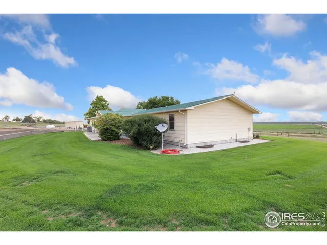 a view of a backyard with grass and a large tree