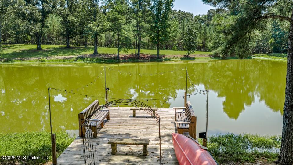 618 Brooks Chapel Road Coldwater, MS 38618 - Photo 39 of 43 IMG_3961