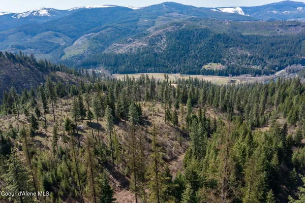 $997,500 | 262 Ac North Side Road, Calder, ID 83808