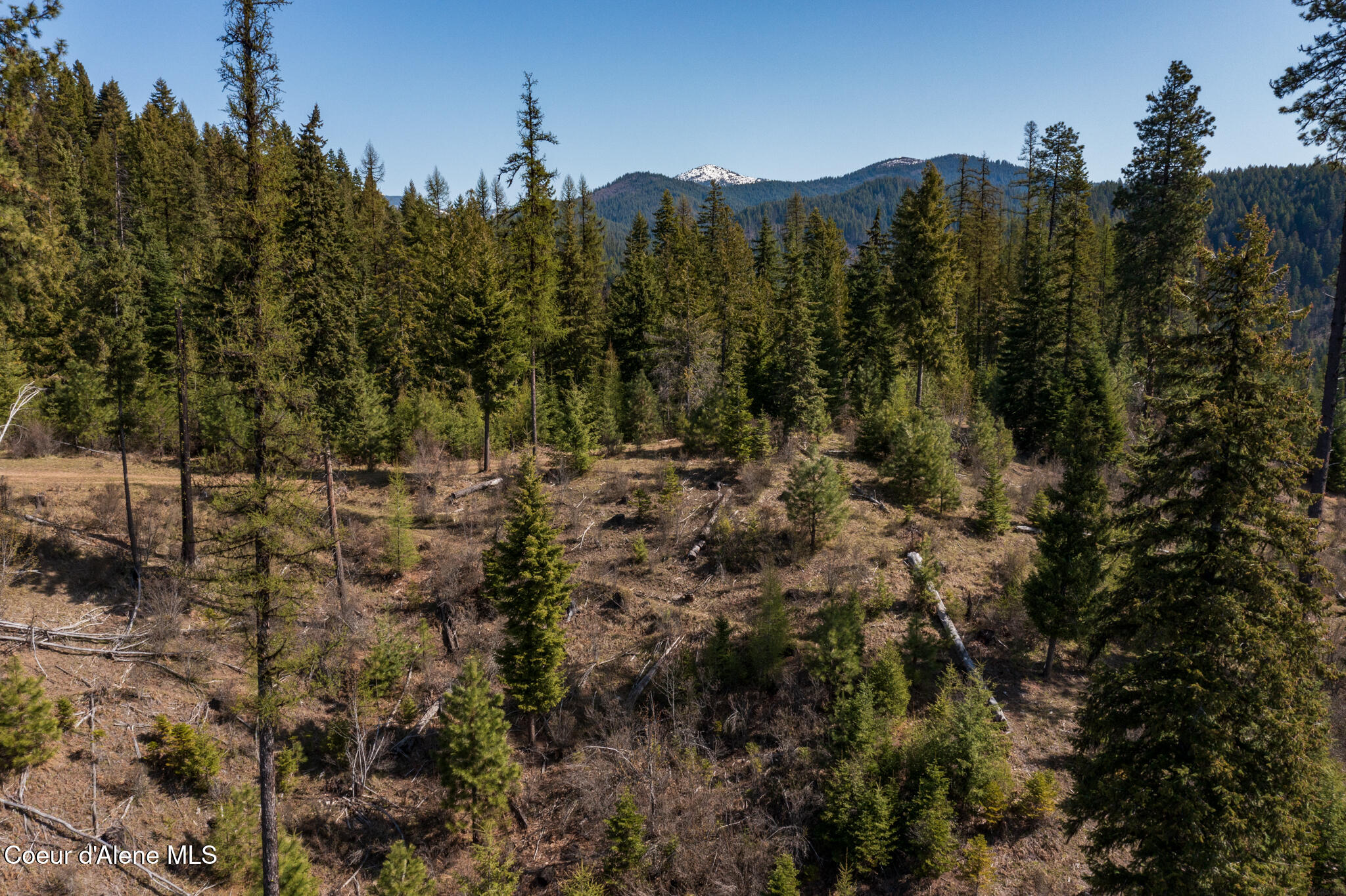 262 Ac North Side Road Calder, ID 83808 - Photo 14 of 72 NWLL Herrick-25