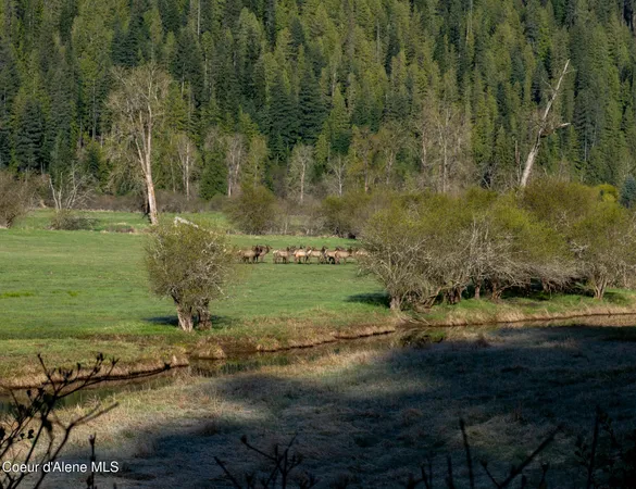 $997,500 | 262 Ac North Side Road, Calder, ID 83808