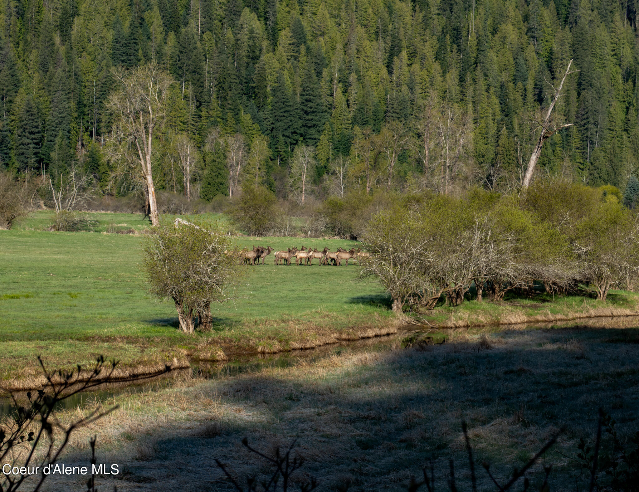 262 Ac North Side Road Calder, ID 83808 - Photo 20 of 72 NWLL Herrick-38