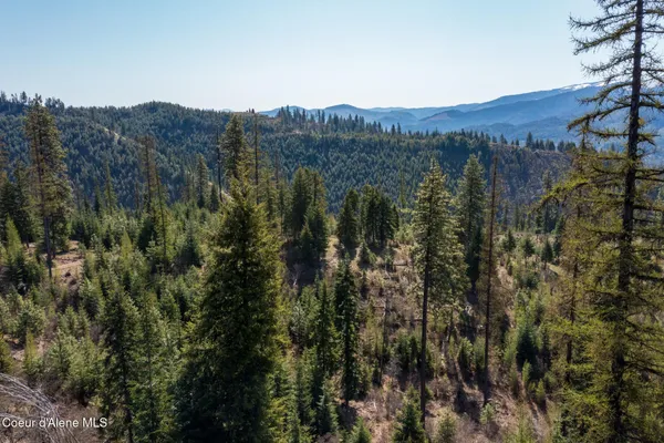 $997,500 | 262 Ac North Side Road, Calder, ID 83808