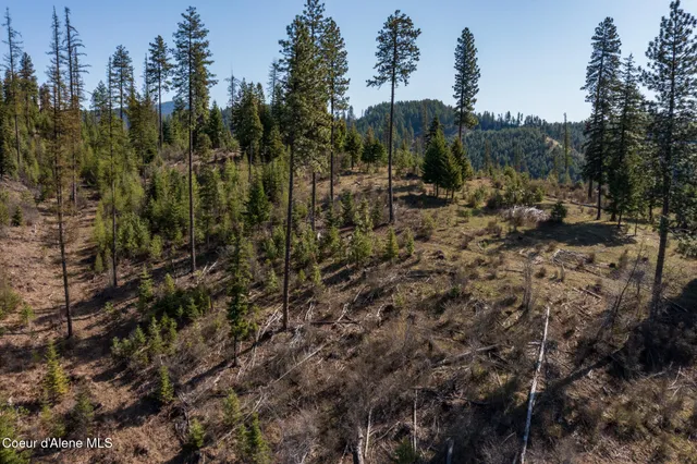 $997,500 | 262 Ac North Side Road, Calder, ID 83808