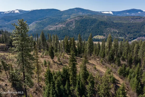 $997,500 | 262 Ac North Side Road, Calder, ID 83808