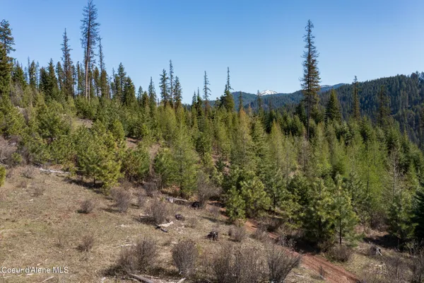 $997,500 | 262 Ac North Side Road, Calder, ID 83808