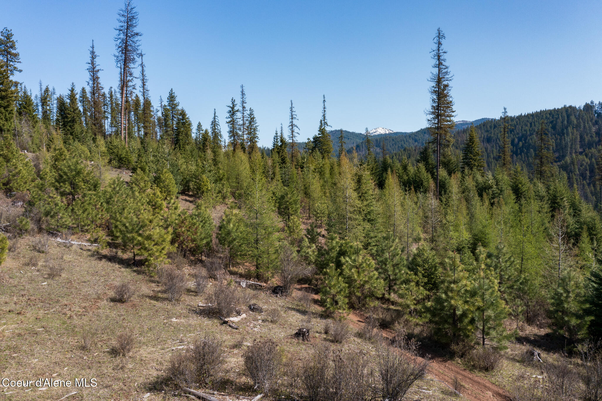 262 Ac North Side Road Calder, ID 83808 - Photo 40 of 72 NWLL Herrick-31