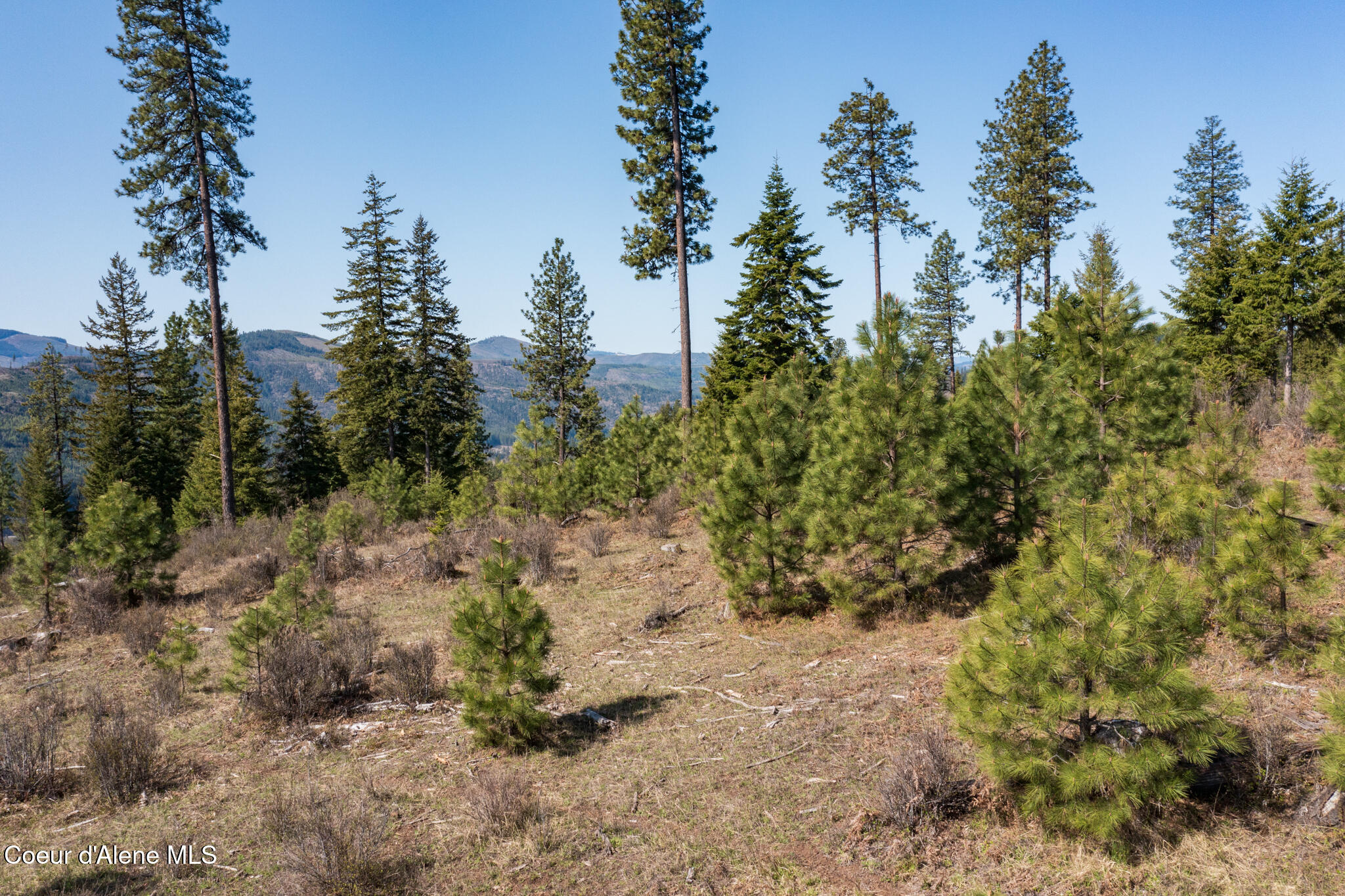 262 Ac North Side Road Calder, ID 83808 - Photo 42 of 72 NWLL Herrick-34