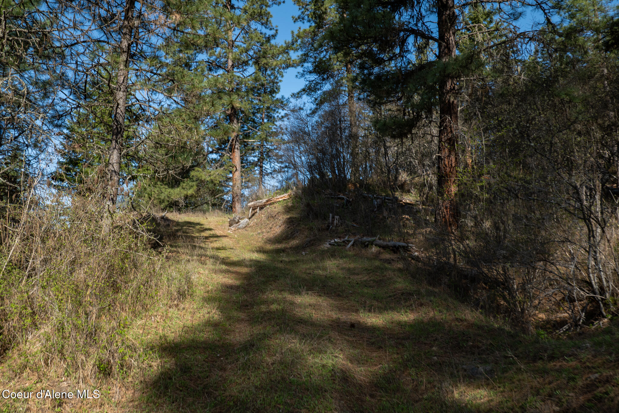 262 Ac North Side Road Calder, ID 83808 - Photo 46 of 72 NWLL Herrick-40