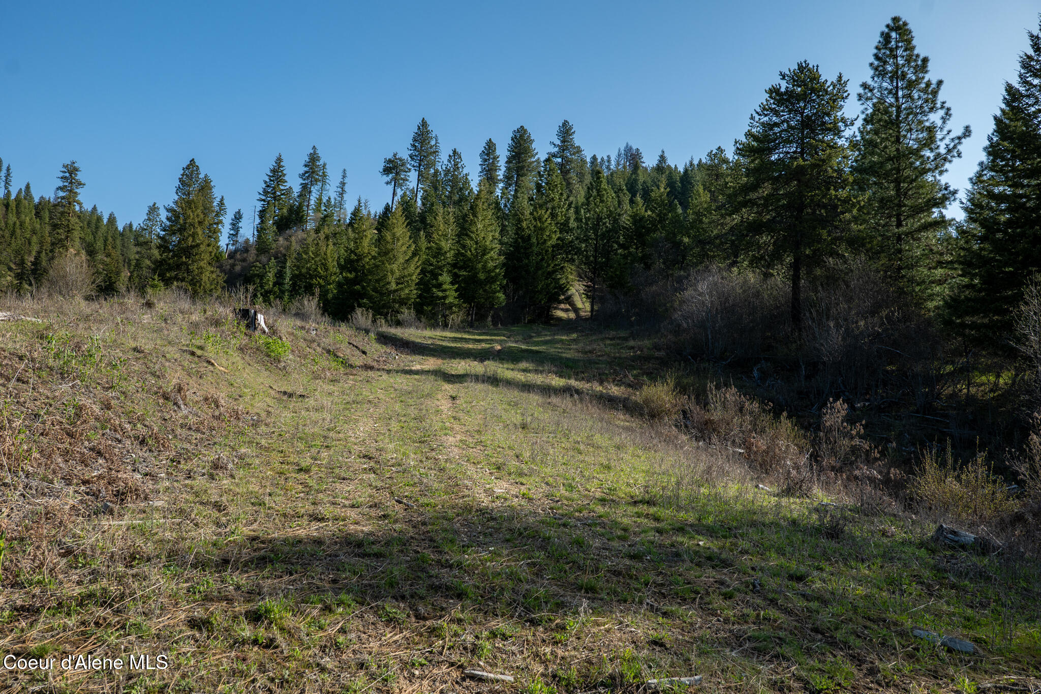262 Ac North Side Road Calder, ID 83808 - Photo 47 of 72 NWLL Herrick-42