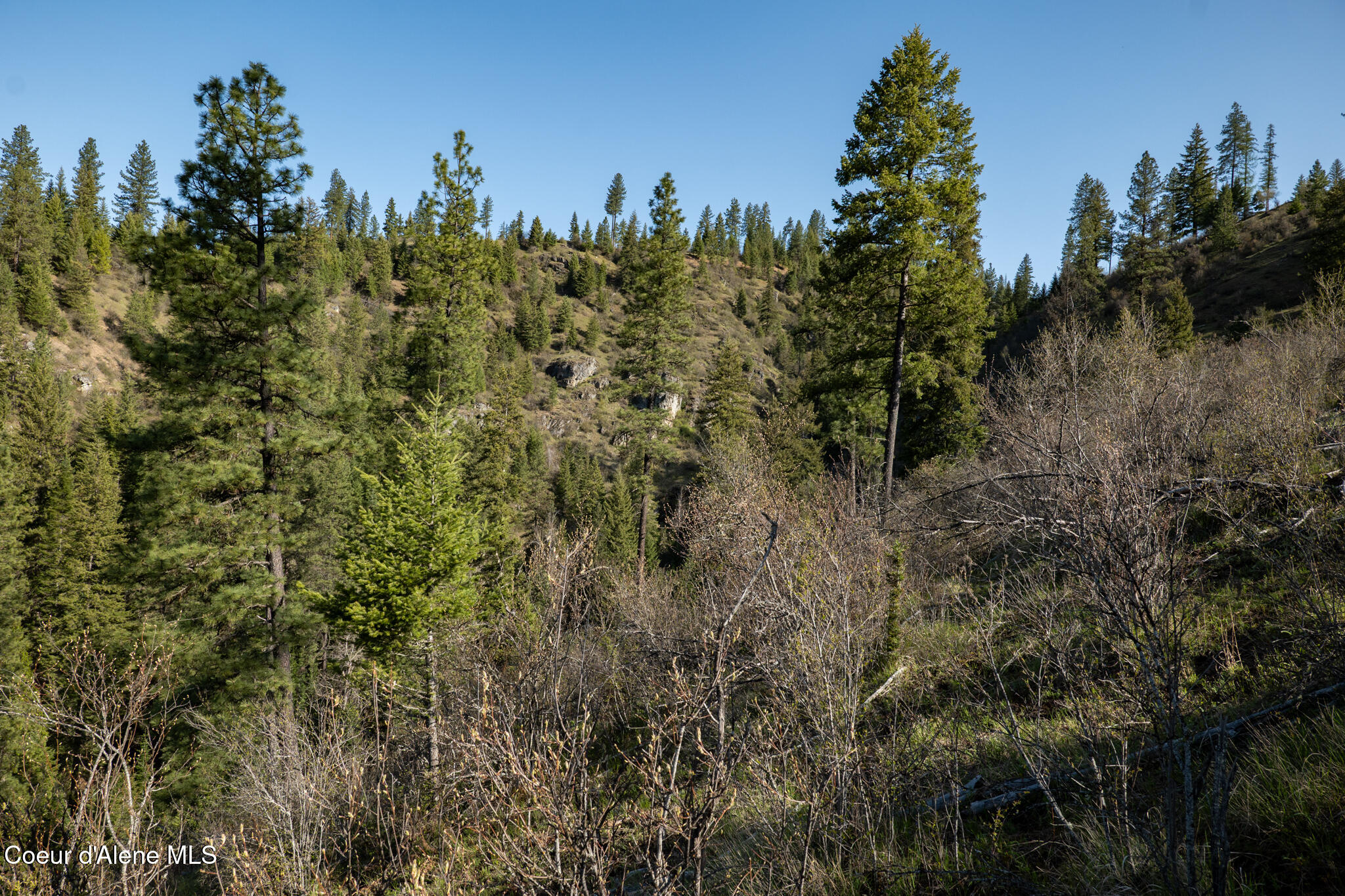 262 Ac North Side Road Calder, ID 83808 - Photo 50 of 72 NWLL Herrick-46